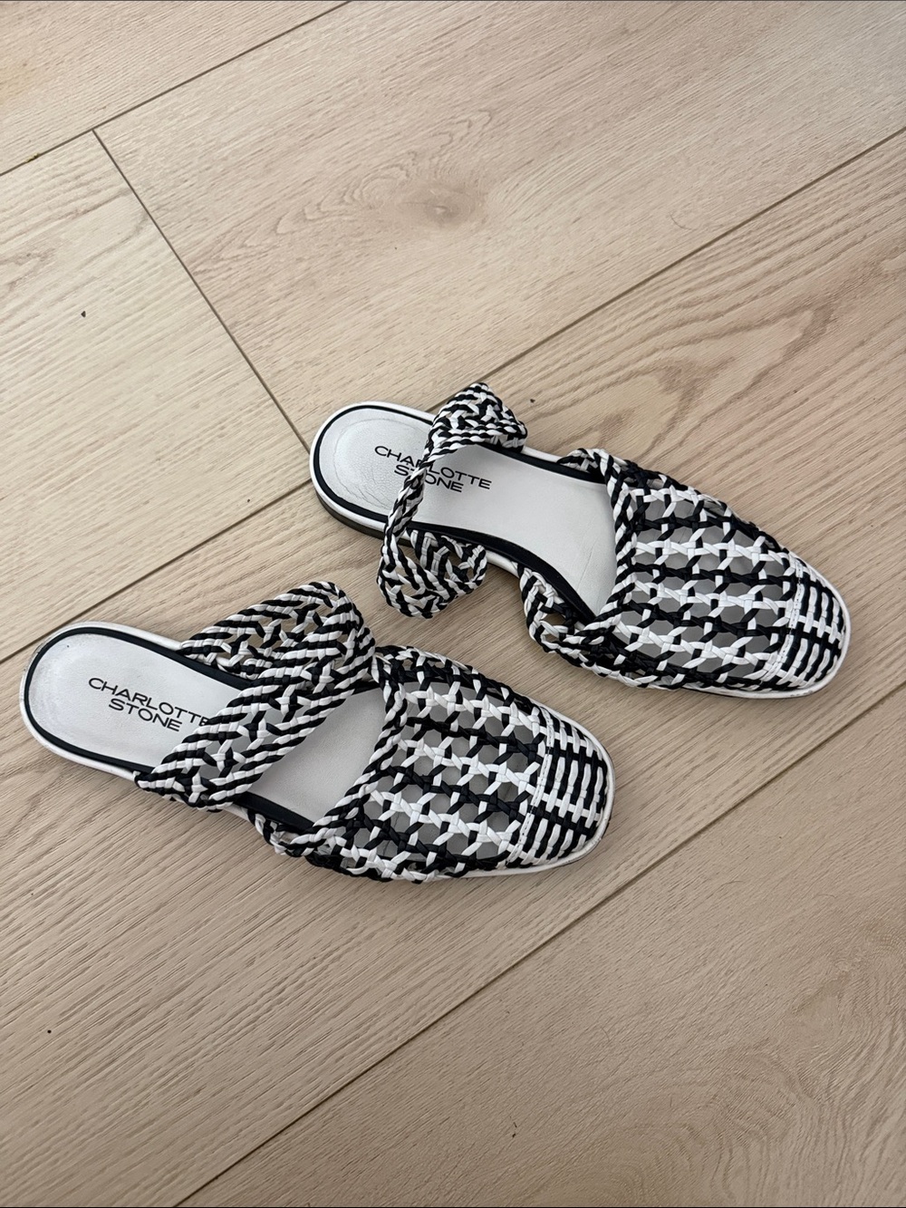Charlotte Stone Black & White Woven Slide Mules
